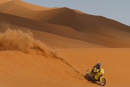 Dakar Rally-Raid Action Scene